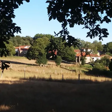 O Cuartino Da Aurea